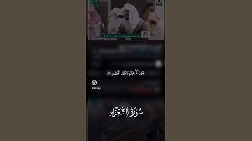 ماتيسر من سورة الشعراء القارئ: ياسر الدوسري.