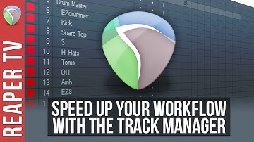 REAPER: Speed up your Workflow with the Track Manager - Tutorial