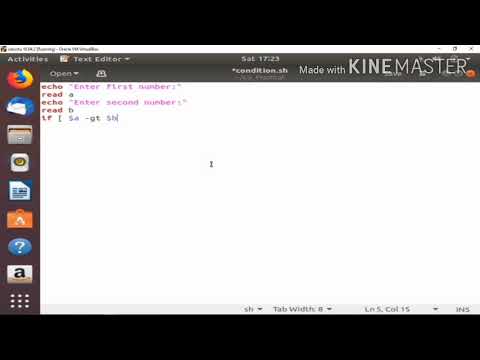 Conditional Statement in Shell Script | Part 1 (Bengali)