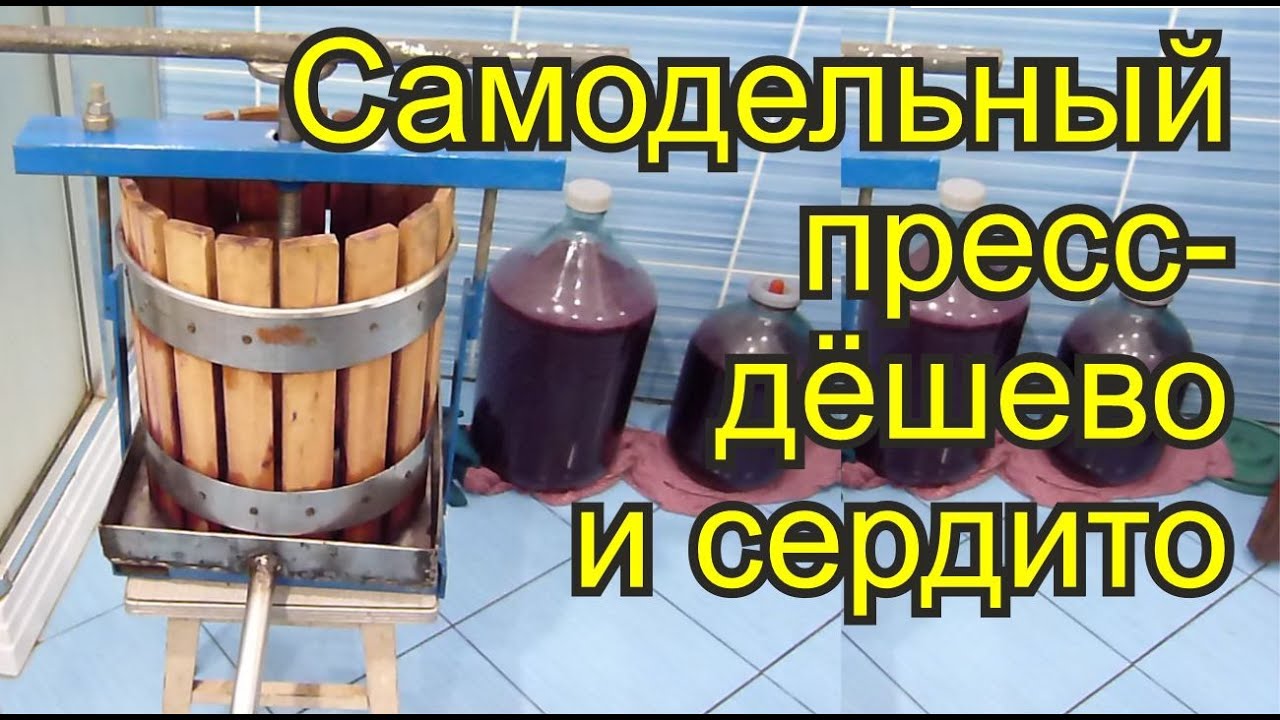 81 ТУ по Луганской Народной Республике | Золотистое пожелтение винограда-бактериальное заболевание