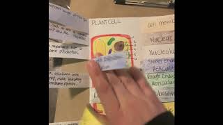 Life Science Foldable