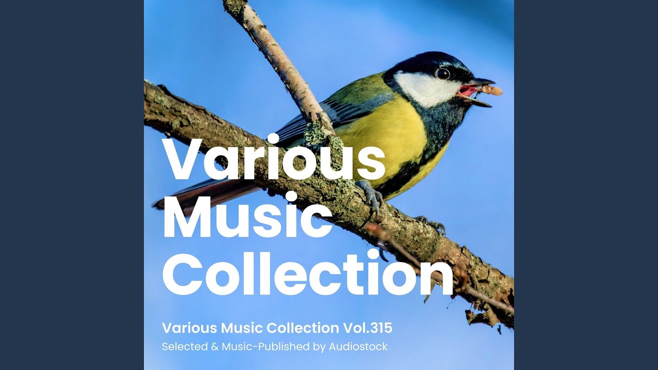 Mira Fearism en YouTube