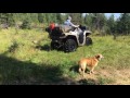 ATV Fun at Williams Creek