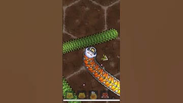 Wormate.io || worms zone .io || samp wala game || snek game || now record 1/1/25