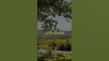 سعد الغامدي سورة الزخرف