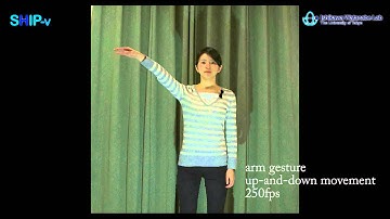 SHIP-v: High Frame Rate Video Samples for researches of High-speed Image Processing