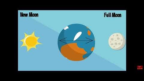 Unit 9 - The Earth-Moon-Sun System - Lesson 3 - Earth