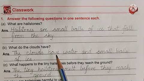 English - Ls 4 Your own book of Science. Notes in the Workbook