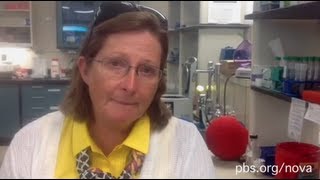 June Medford's Bomb-Sniffing Plants