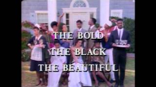 Robert Townsend Partners in Crime - The Bold,The Black,The Beautiful