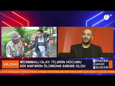 Video: Mənim itim niyə belə itaətkardır?