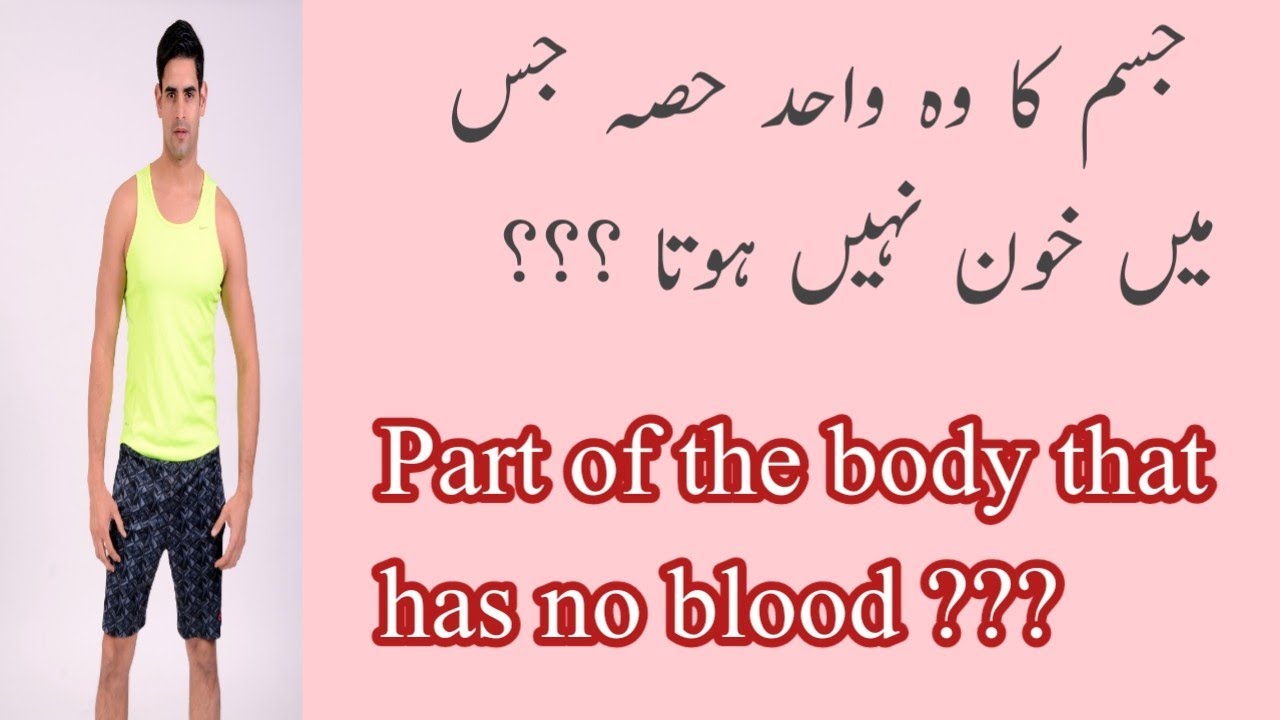 What Part Of Body Has No Blood Part of the body that has no blood ???//جسم کا وہ واحد حصہ جس میں خون