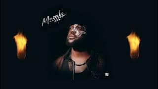 Titus Vybes - Muzaki [Official Audio]