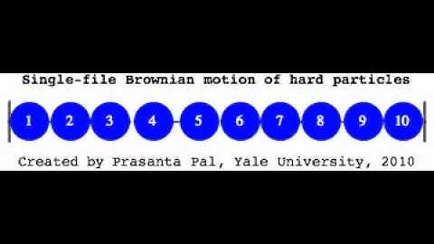 Single File Brownian Motion