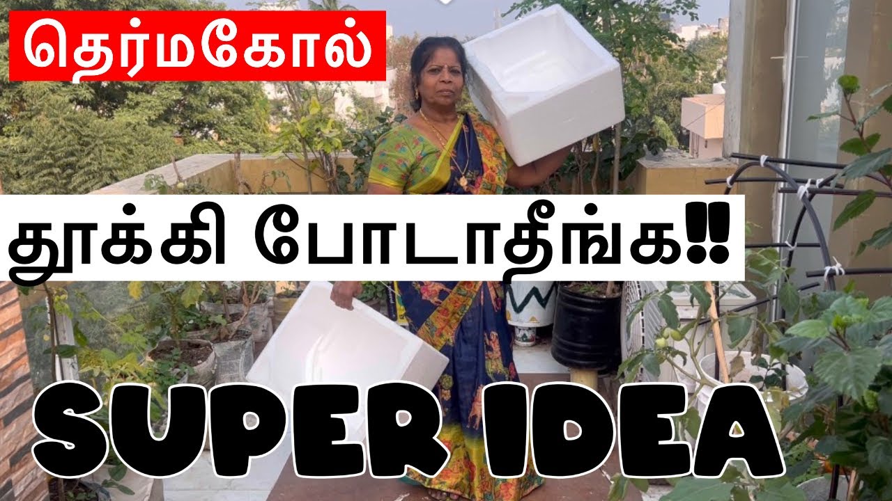 Uneven தெர்மகோல் box ஐ even ஆக்க ஐடியாவை பாருங்க #மாடிதோட்டத்தில் thermacol #செலவில்லாத useful idea