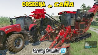 Cosecha Masiva de CAÑA DE AZUCAR en Farming Simulator 23