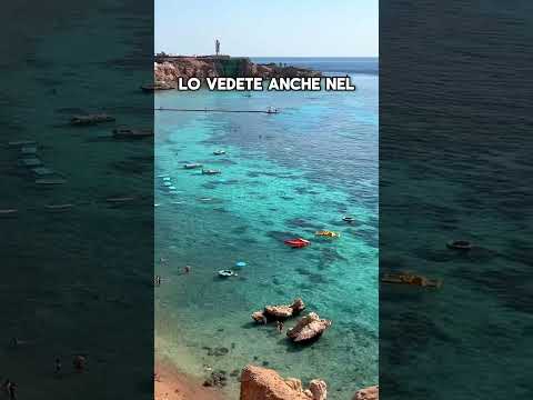 video intero del