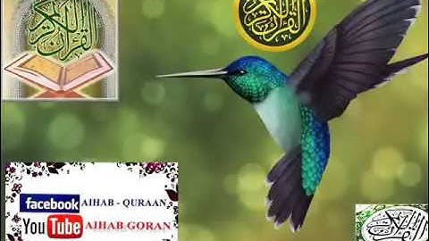 101 - سورة القارعة - أحمد العجمي