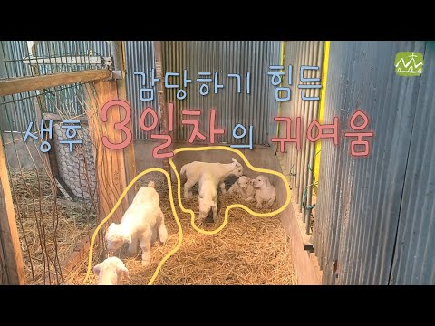영상썸네일