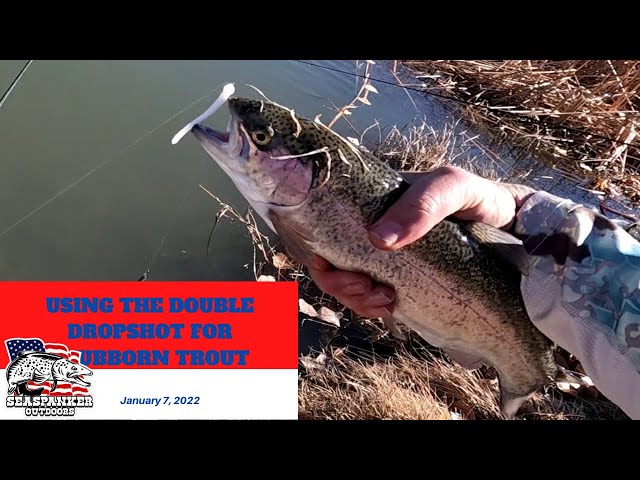 Using the Double Dropshot for Stubborn Trout 