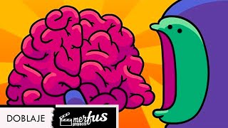 Brain Myths - FANDUB LATINO - SPANISH DUB