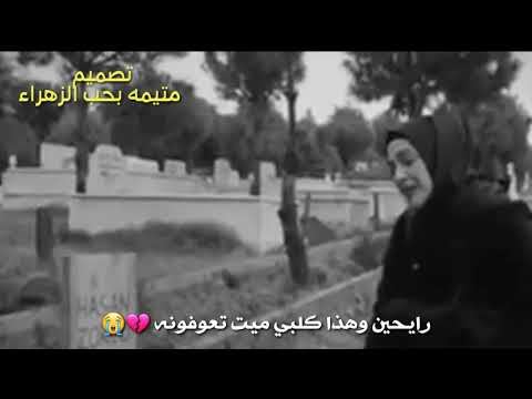 رايحين وهذا كلبي ميت تعوفونه