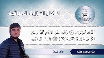 ما تيسر من سورة الزخرف – القارئ محمد هاشم -  الاورفة
