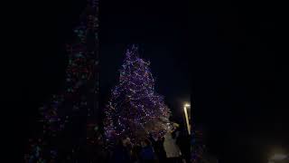 Christmas Tree Lighting 2022 (GONE WRONG)