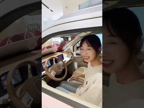 Wuling Mini EV
