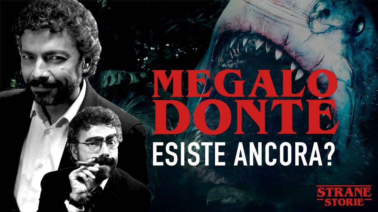 MEGALODONTE: esiste ancora?