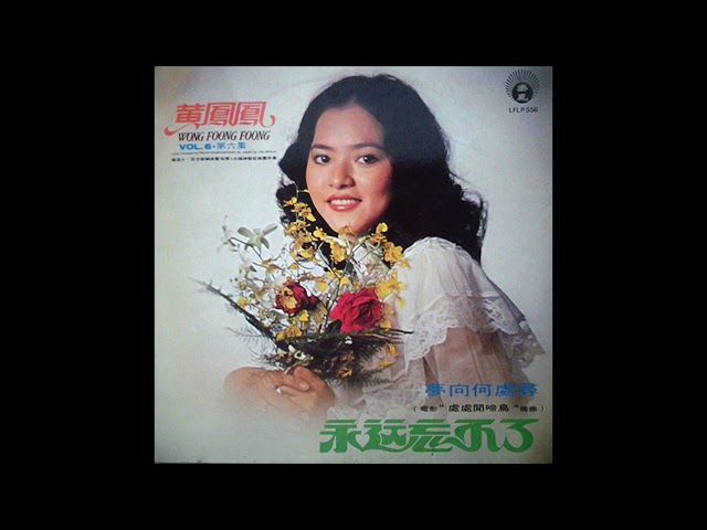 Wong Foong Foong / 黃鳳鳳 - 愛的時候 (disco funk, Singapore