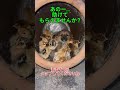 あのー,助けてもらえませんか？