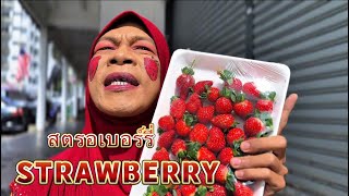 สตรอเบอร์รี่ STRAWBERRY 
