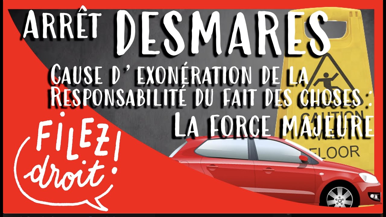 Arrêt Desmares : Force Majeure Seule Exonération Responsabilité du Fait des Choses  (cass. 21/07/82)