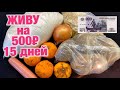 😱15 ДНЕЙ НА 500 РУБЛЕЙ😱КАК ВЫЖИТЬ В РОССИИ🤬ВЫЖИВАНИЕ ДЕНЬ 6