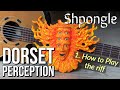 Shpongle - Dorset Perception 1- How to Play the Riff | Pete Callard