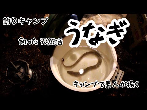 【ソロキャンプ】釣りキャンプ・うなぎ