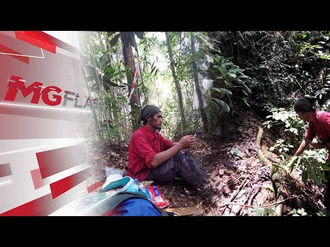 MGFlash Malim Gunung Terima RM10,000 Selepas Jumpa Mayat Pendaki