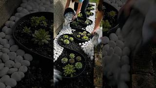 Modern Zen Garden Transformation | DIY Pebbles &amp; Succulents 🌿#renovation #landscape