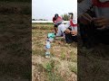 kebersamaan adalah awal kerukunan #kata mutiara #sawah