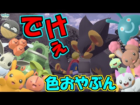 おやぶん色違いレントラーがでけぇ 計11匹色違いゲットだぜ Pokemon Legends アルセウス Youtube