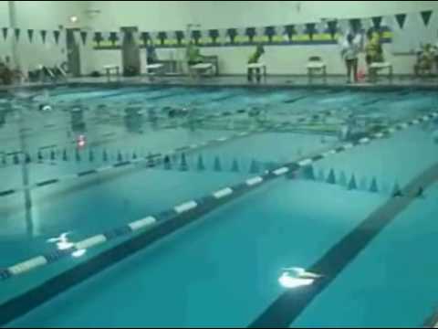 Women's swimming: Western New England College vs. ...