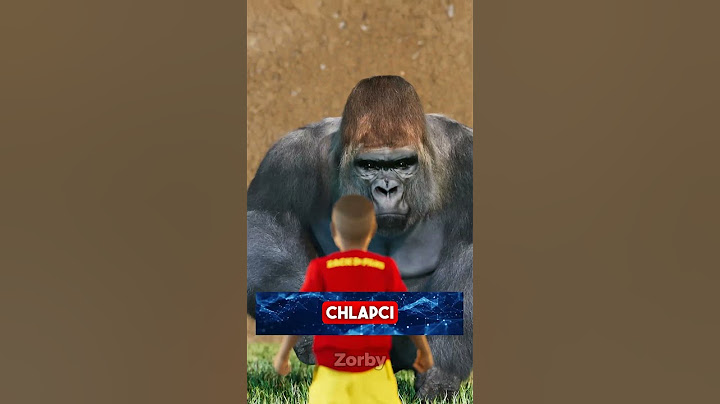 Příběh Harambeho 😢(Credit: @zackdfilms)