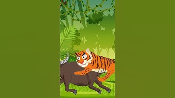 Tiger Hunting an Animal 🐅  #2danimation #animalcartoon #usa #newyork #trending #viral