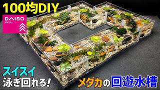 【100均DIY】まるで清流！ダイソーでメダカの【回遊水槽】を 自作！【アクアリウムDIY】【テラリウム】【ジオラマ】