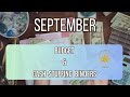 CASH STUFFING BINDERS &amp; WALLET | SEPTEMBER BUDGET | PAYCHECK #1 | UNSCRIPTED RAW &amp; AUTHENTIC #budget