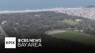 Free Parking At Den Gate Park Could Be Coming To An End Soon