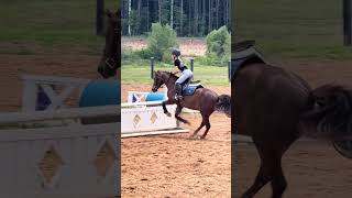 finally getting better eq over bigger jumps| #horse #sunnysideup #equestrian
