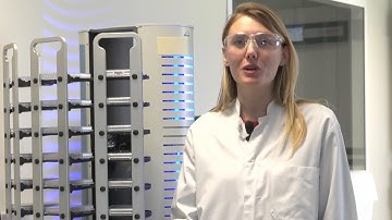 Demonstration of Cell Line Clonality During the Process of Cell Line Development