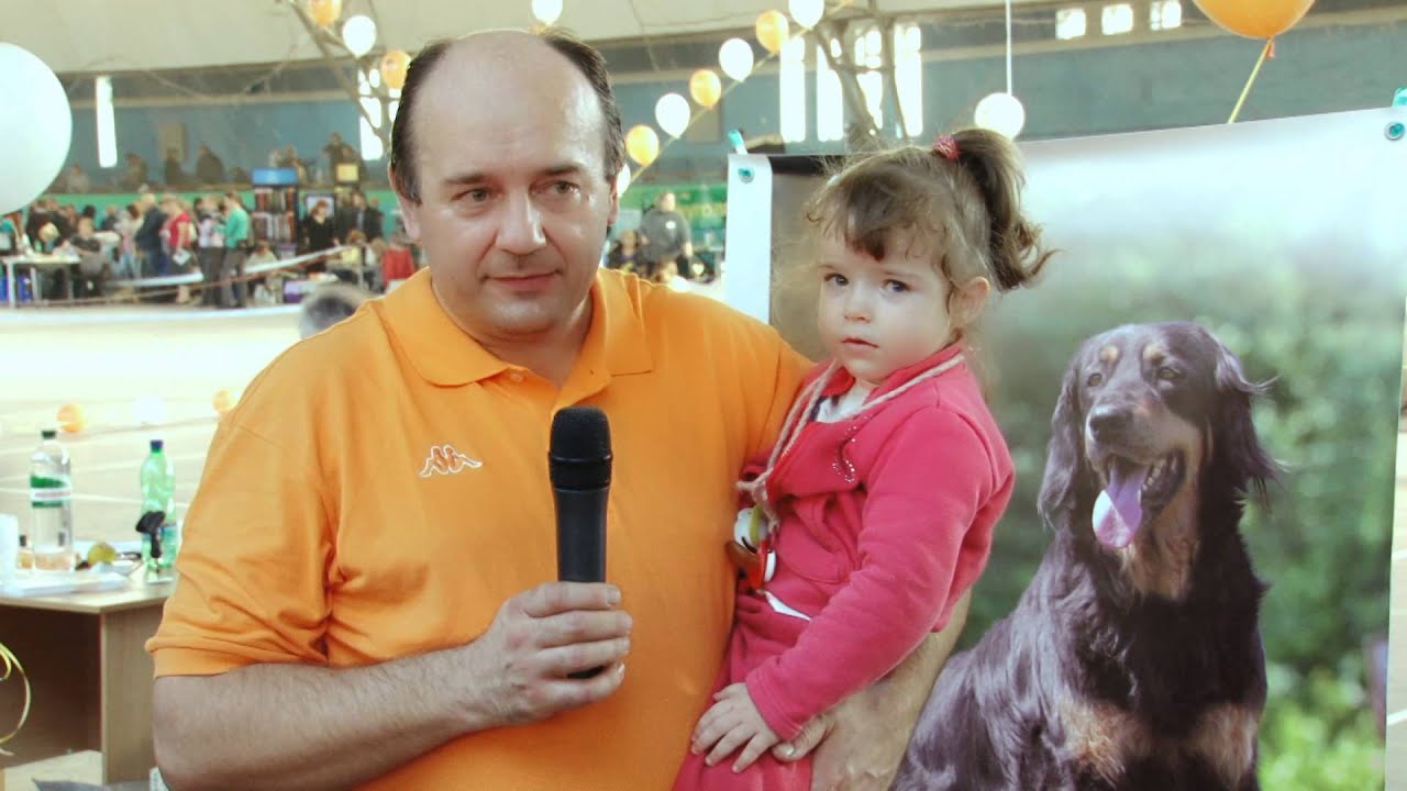 Чемпионат ВКП Ховаварт